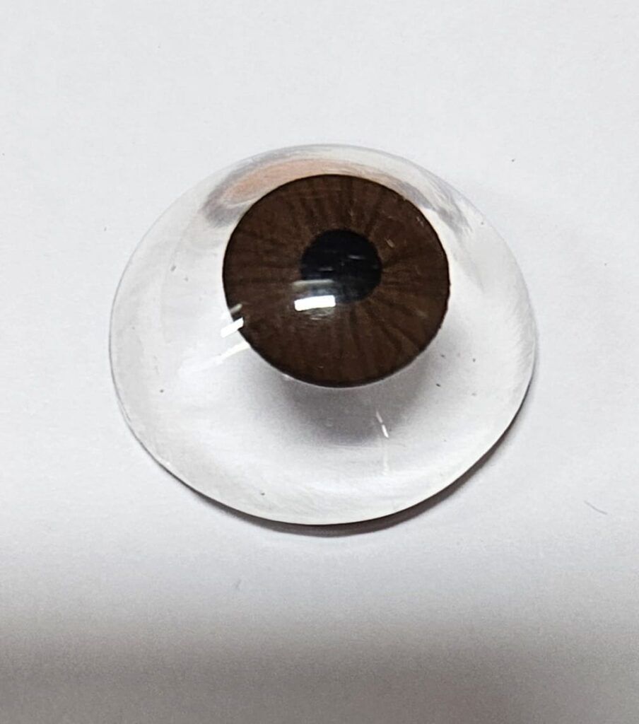 Cosmetic Shells ( Not for Sale in US)