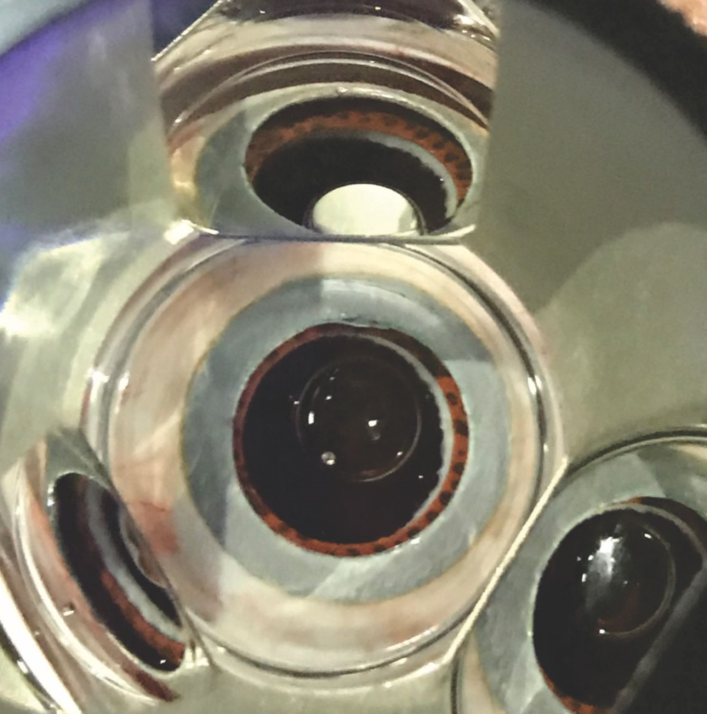 Model Eyes for Gonioscopy